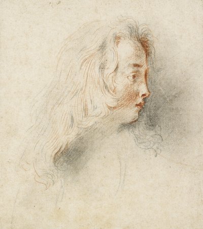 Cabeza de un niño en perfil de Jean Antoine Watteau
