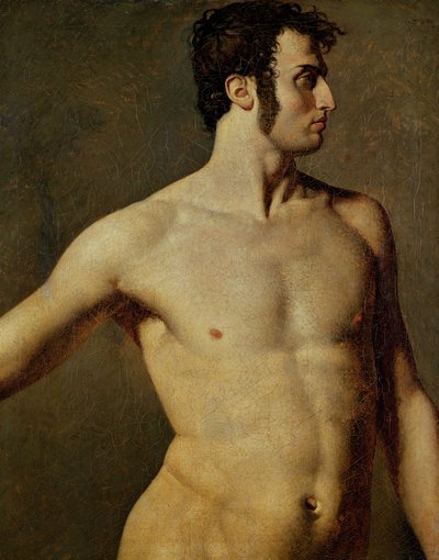 Torso masculino de Jean Auguste Dominique Ingres