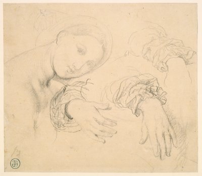 Hoja de estudios con la cabeza de la Fornarina y las manos de Madame de Senonnes de Jean Auguste Dominique Ingres