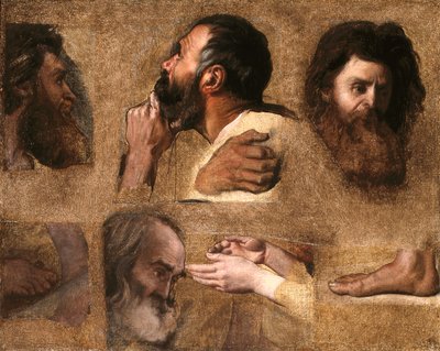 Estudios para Jesús entre los médicos (óleo sobre lienzo montado en madera) de Jean Auguste Dominique Ingres