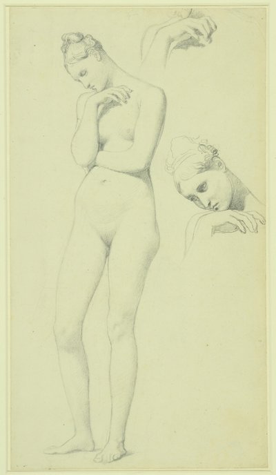 Estudios para la figura de Stratonice, c.1834-40 (lápiz sobre papel) de Jean Auguste Dominique Ingres