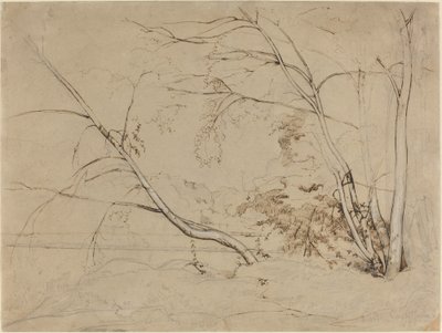 Grupo de Árboles en Civita Castellana de Jean Baptiste Camille Corot