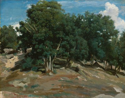 Fontainebleau: Robles en Bas-Bréau, 1832-3 de Jean Baptiste Camille Corot
