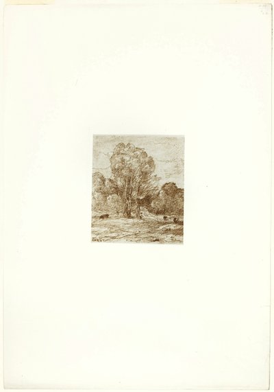 El pasto de las vacas de Jean Baptiste Camille Corot