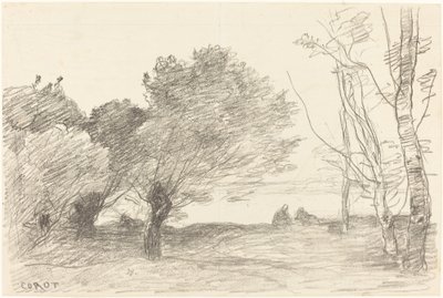 Sauces y álamos blancos, 1871 de Jean Baptiste Camille Corot