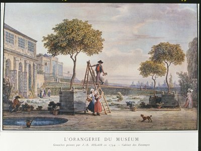 La Orangerie en el Museo de París en 1794 de Jean Baptiste Hilair