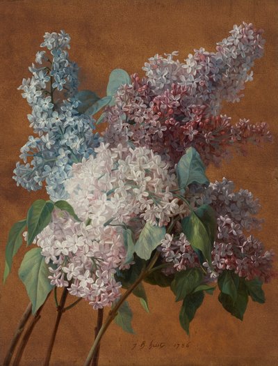 Un estudio sobre las lilas de Jean Baptiste Huet