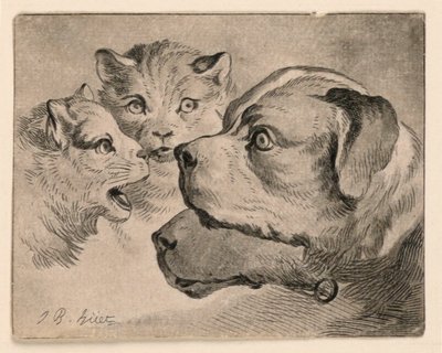 Cabezas de gatos y perros de Jean Baptiste Huet