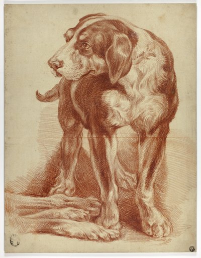 Sabueso de pie de Jean Baptiste Huet