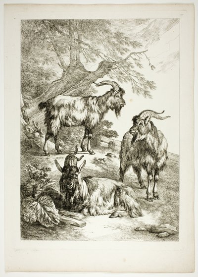 Placa diecisiete de 38 de Oeuvres de J. B. Huet de Jean Baptiste Huet