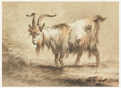 Estudio de una cabra de Jean Baptiste Huet
