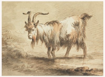 Dibujo, Estudio de una cabra, 1772 de Jean Baptiste Huet