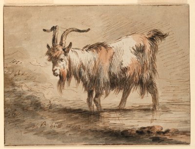 Dibujo, Estudio de una cabra, 1772 de Jean Baptiste Huet