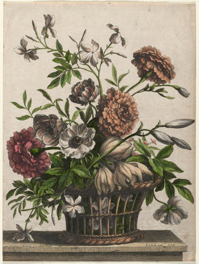 Caléndulas, anémona simple, jazmín... de Jean Baptiste I Monnoyer