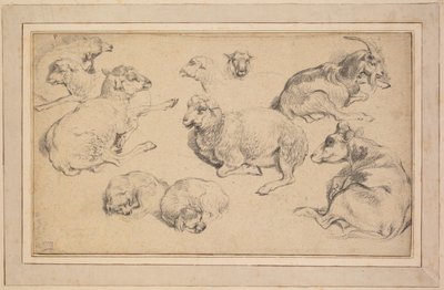 Hoja de estudios con ovejas, cabras y perros, c. 1780 de Jean Baptiste Marie Huet