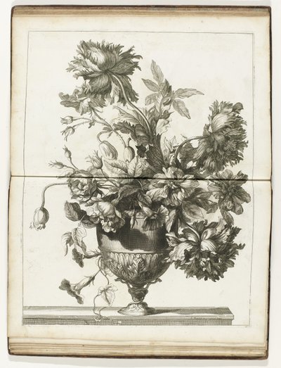 Bloemenvaas Libros de varios Vazes of Flowers hechos después de lo natural (título de la serie) de Jean Baptiste Monnoyer