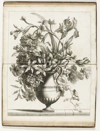 Bloemenvaas Libros de varios Vazes of Flowers hechos después de lo natural (título de la serie) de Jean Baptiste Monnoyer