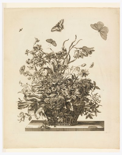 Placa 10, del conjunto de Flores en una Cesta de Jean Baptiste Monnoyer