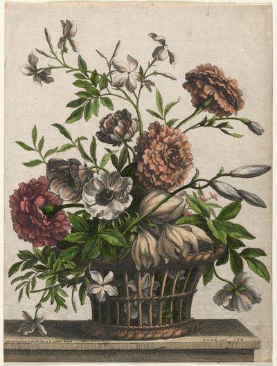Caléndulas, anémona simple, jazmín de Jean Baptiste Monnoyer I