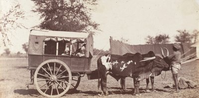 [Gemelos Campbell en un Shigram, Campamento del Gobernador General] de Jean Baptiste Oscar Mallitte