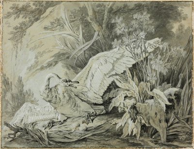 Un cisne salvaje atacado por un perro de Jean Baptiste Oudry