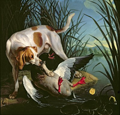 Perro con un Pato Salvaje de Jean Baptiste Oudry