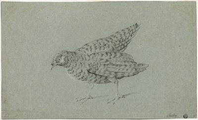 Perdiz de Jean Baptiste Oudry
