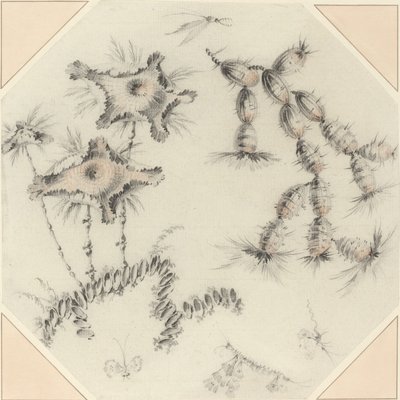 Flores de bambú y cactus de Jean Baptiste Pillement
