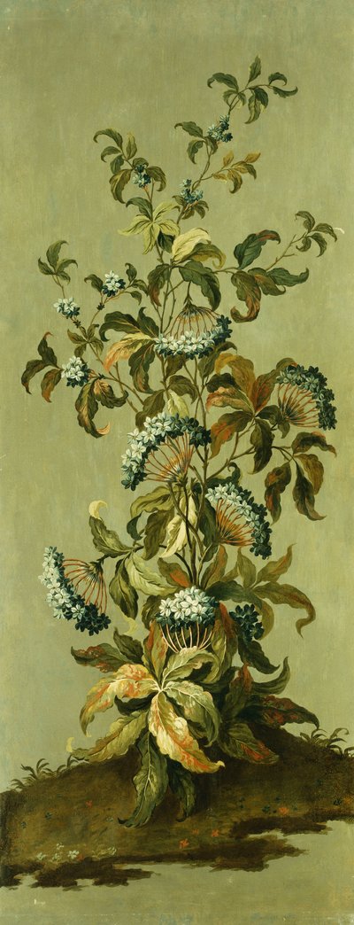 Paneles decorativos con flores de Jean Baptiste Pillement