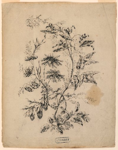 Dibujo, Rama de un árbol fantástico, 1775-1800 de Jean Baptiste Pillement