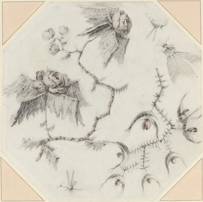 Flores y bichos fantásticos de Jean Baptiste Pillement