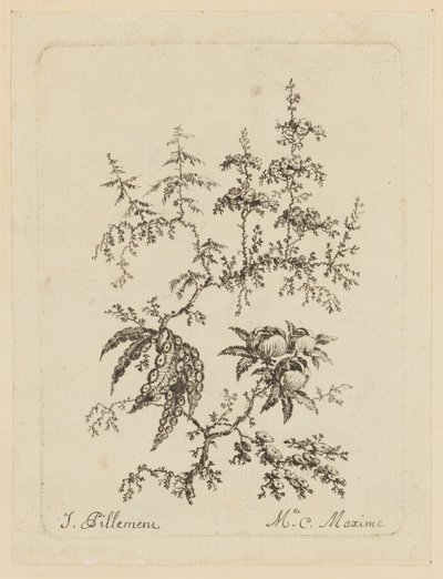 Flor fantástica de Jean Baptiste Pillement