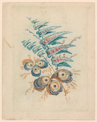 Motivo floral fantástico de Nouvelle Suitte de Cahiers de Fleurs Idéales de Jean Baptiste Pillement
