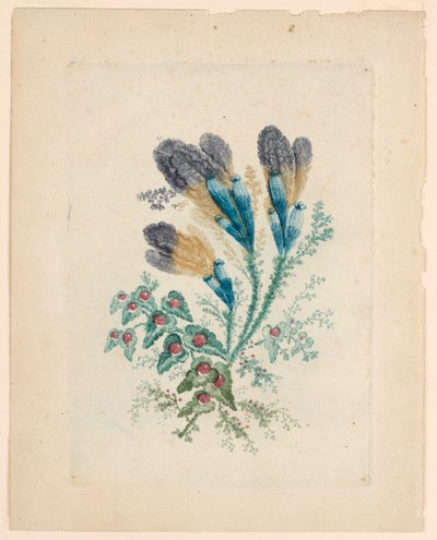 Motivo floral fantástico de "Nouvelle Suitte de Cahiers de fleurs idéales" de Jean Baptiste Pillement