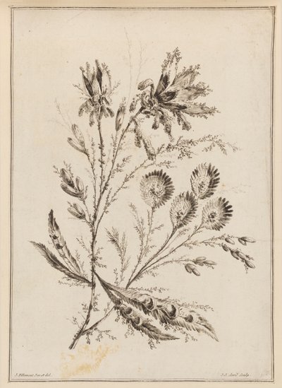 Rama de flores de Jean Baptiste Pillement