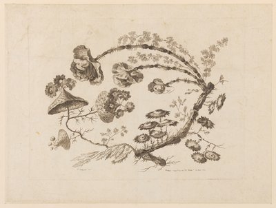Ramas Florales, de "Recueil de Differentes Fleurs de Fantaisie Dans le Goût Chinois" de Jean Baptiste Pillement