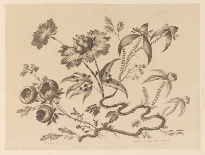 Ramas de flores, de "Recueil de Differentes Fleurs de Fantaisie Dans le Goût Chinois" de Jean Baptiste Pillement