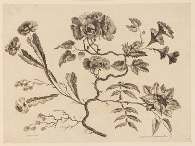 Ramas de flores, de "Recueil de Differentes Fleurs de Fantaisie Dans le Goût Chinois" de Jean Baptiste Pillement