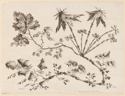 Ramas de flores, de "Recueil de Differentes Fleurs de Fantaisie Dans le Goût Chinois" de Jean Baptiste Pillement
