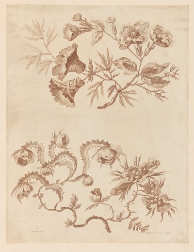Ramas de flores, de "Recueil de Differentes Fleurs de Fantaisie Dans le Goût Chinois" de Jean Baptiste Pillement