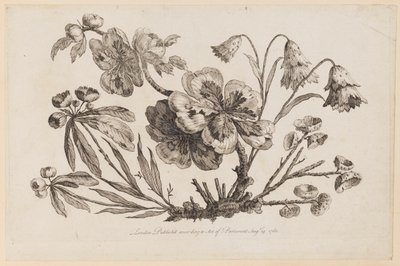 Ramas de flores, de "Recueil de Fleurs de Chinois" de Jean Baptiste Pillement