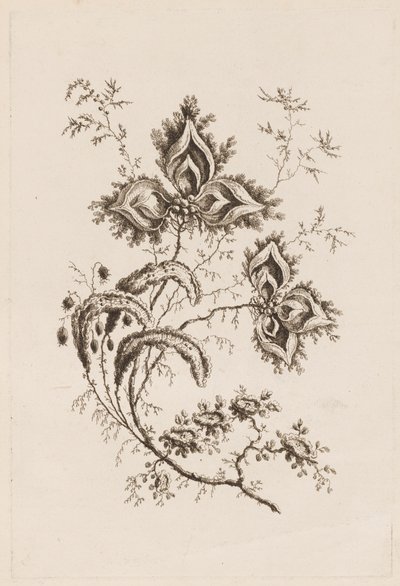 Rama de Flores, de "Fleures Persannes" de Jean Baptiste Pillement