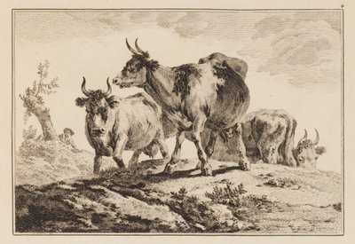 Lámina 4, de "Cuaderno de seis hojas de bueyes y vacas" de Jean Baptiste Pillement