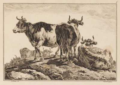 Lámina 6, de "Cuaderno de Seis Hojas de Bueyes y Vacas" de Jean Baptiste Pillement