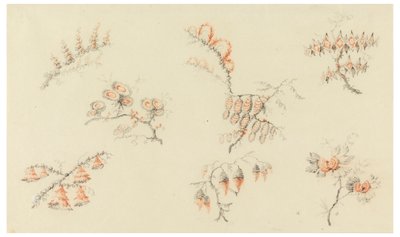 Ramas de siete flores ideales y una flor cuasi naturalista de Jean Baptiste Pillement