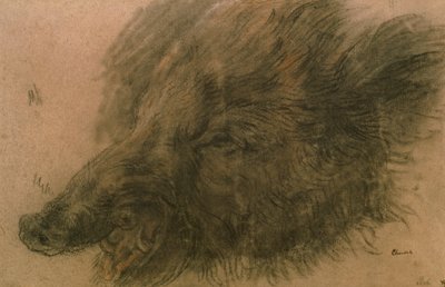 Cabeza de un jabalí de Jean Baptiste Simeon Chardin