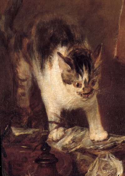 Bodegón de pescado, ostras, jarra. Detalle de gato de Jean Baptiste Simeon Chardin