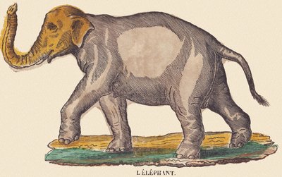 El elefante, c.1840-1852 (litografía) de Jean Baptiste Thiebault