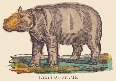 El hipopótamo, c.1840-1852 (litografía) de Jean Baptiste Thiebault