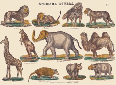 Varios animales, c.1840-1852 (litografía) de Jean Baptiste Thiebault